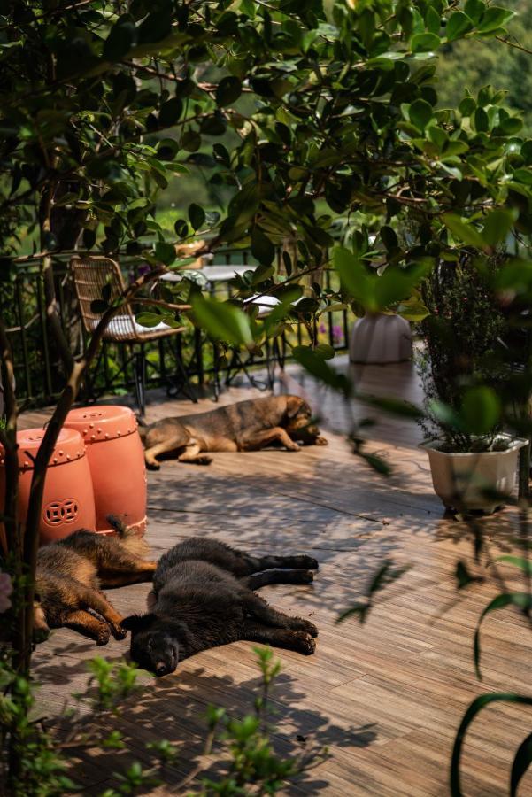 Zen Cafe Lakeside Da Lat Exterior photo